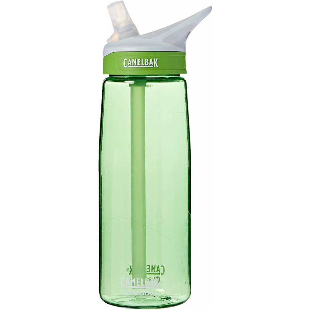 CAMELBAK eddy Water Bottle (20 fl oz, Palm)